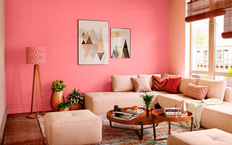 Asian Royal Paint